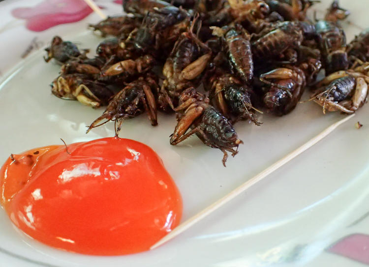 Crispy Crickets with Chili Sauce