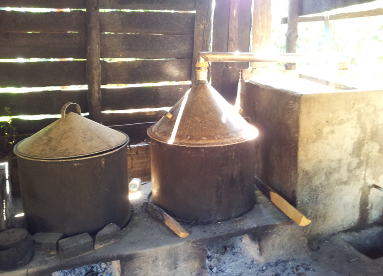 Making Rice whisky