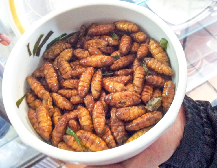 Silkworm larvae snack