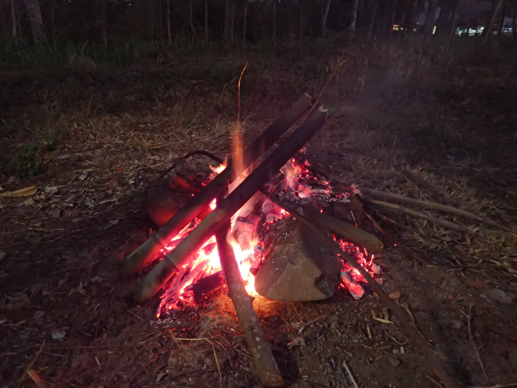 Rice cooking in bamboo on fire