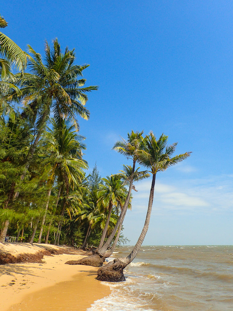 Strandurlaub in Vietnam unter Palmen