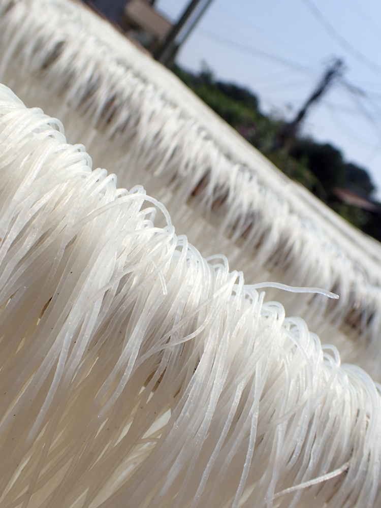 close up of noodles drying