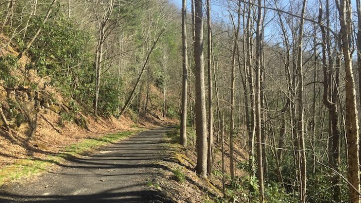 Virginia Creep Trail Early Spring